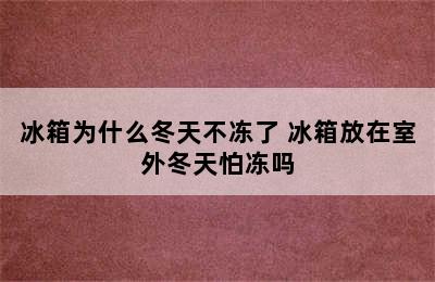 冰箱为什么冬天不冻了 冰箱放在室外冬天怕冻吗